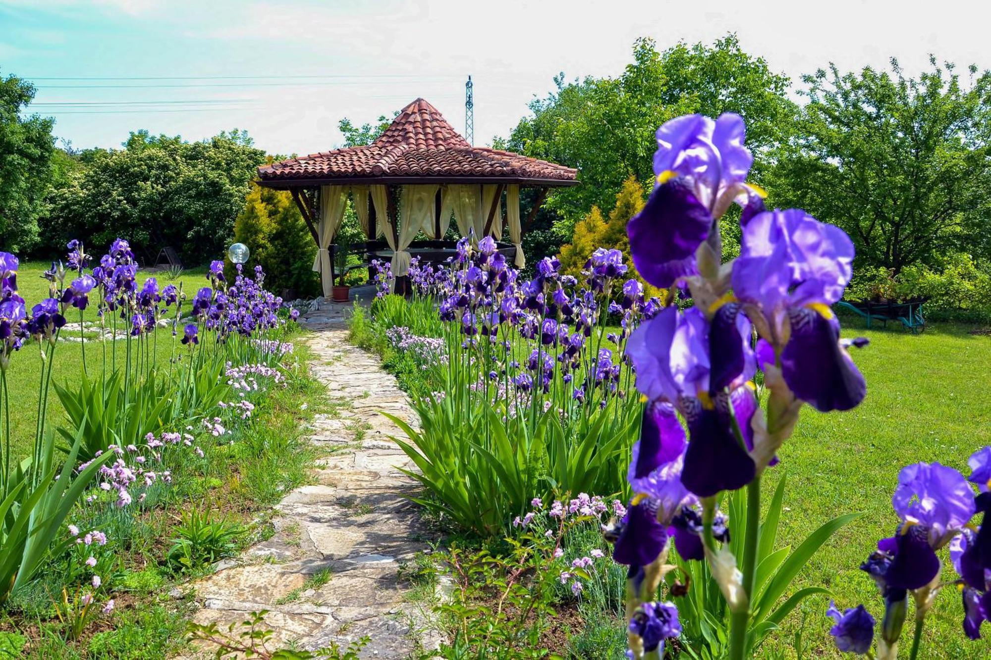 Park Hotel Djevana Gorna Oryakhovitsa Exterior foto